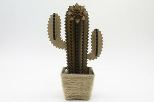 Cactus madera - Trocitos de mí