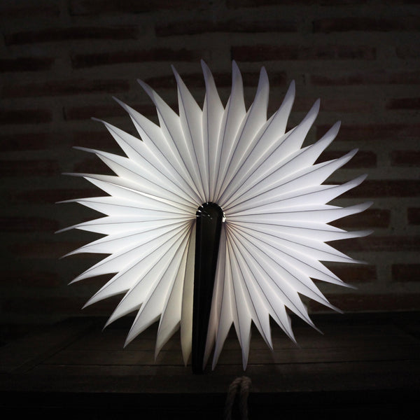 Libro de Luz
